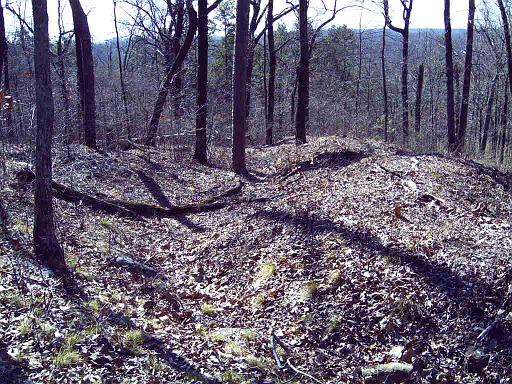 Pigeon Hill Assault 7